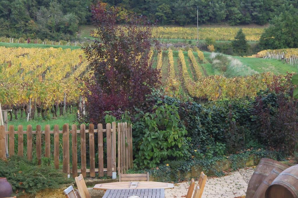 Hotel La Petite Madeleine Castillon-la-Bataille Zewnętrze zdjęcie