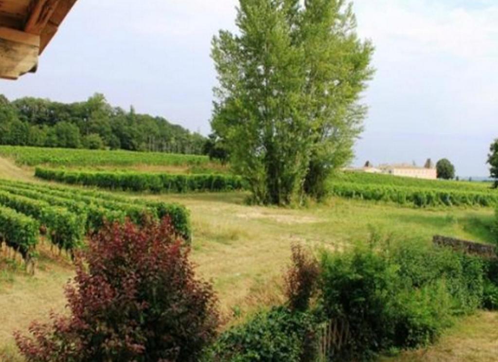 Hotel La Petite Madeleine Castillon-la-Bataille Zewnętrze zdjęcie