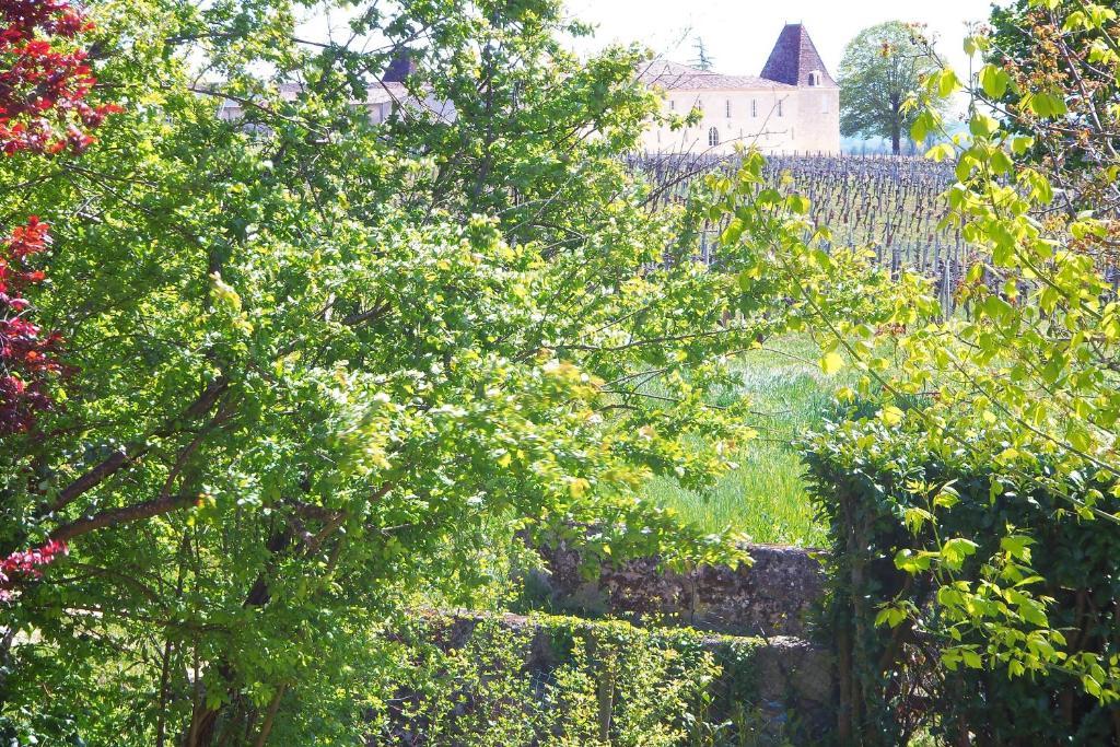 Hotel La Petite Madeleine Castillon-la-Bataille Zewnętrze zdjęcie
