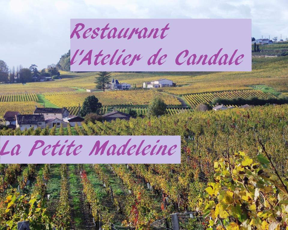 Hotel La Petite Madeleine Castillon-la-Bataille Zewnętrze zdjęcie